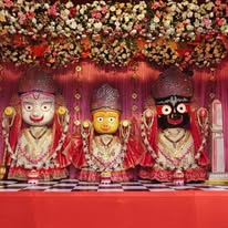 Lord Jagannath, Balabhadra and Subhadra idols decorated for Rath Yatra